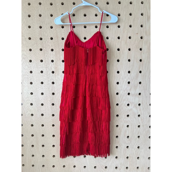 Fringe flapper dress - Picture 4 of 4